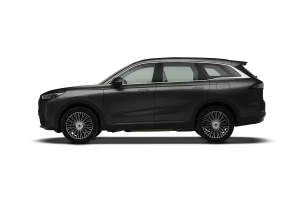 Fulwin T9 C-DM