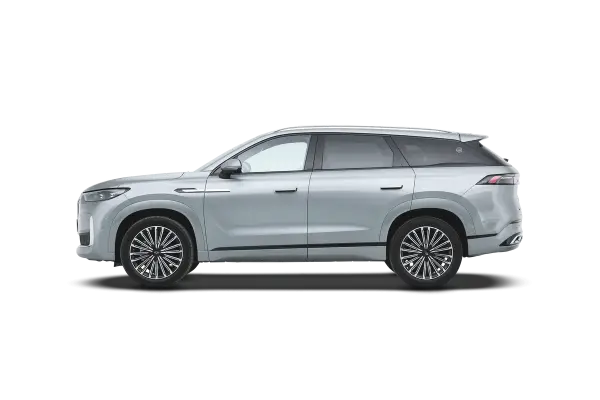 Tiggo 9