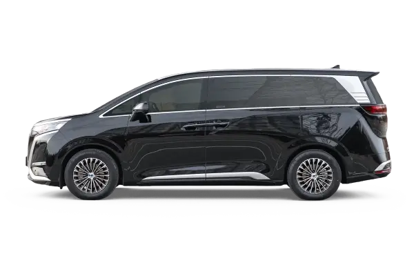 D9 EV