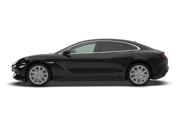 Z9 DM