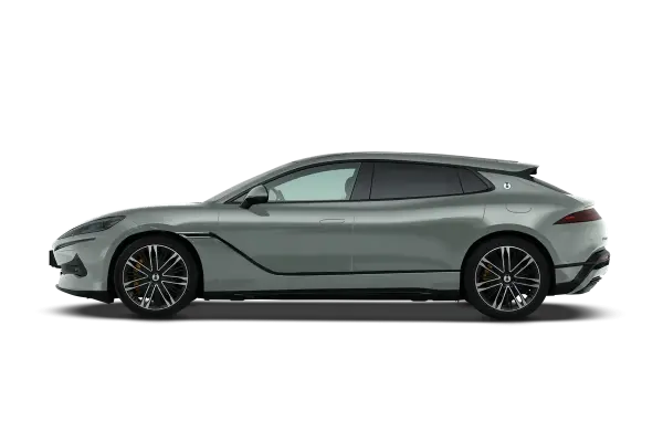 Z9GT DM