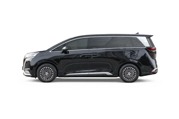 D9 EV