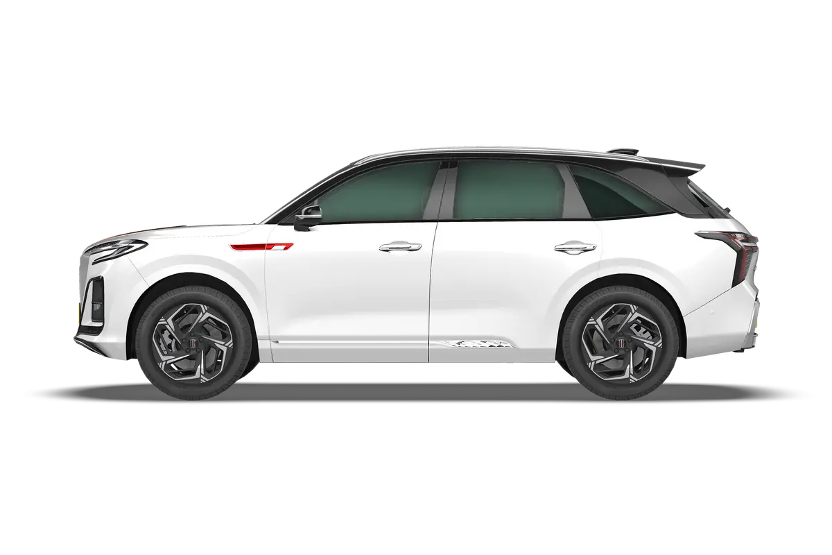 HS3