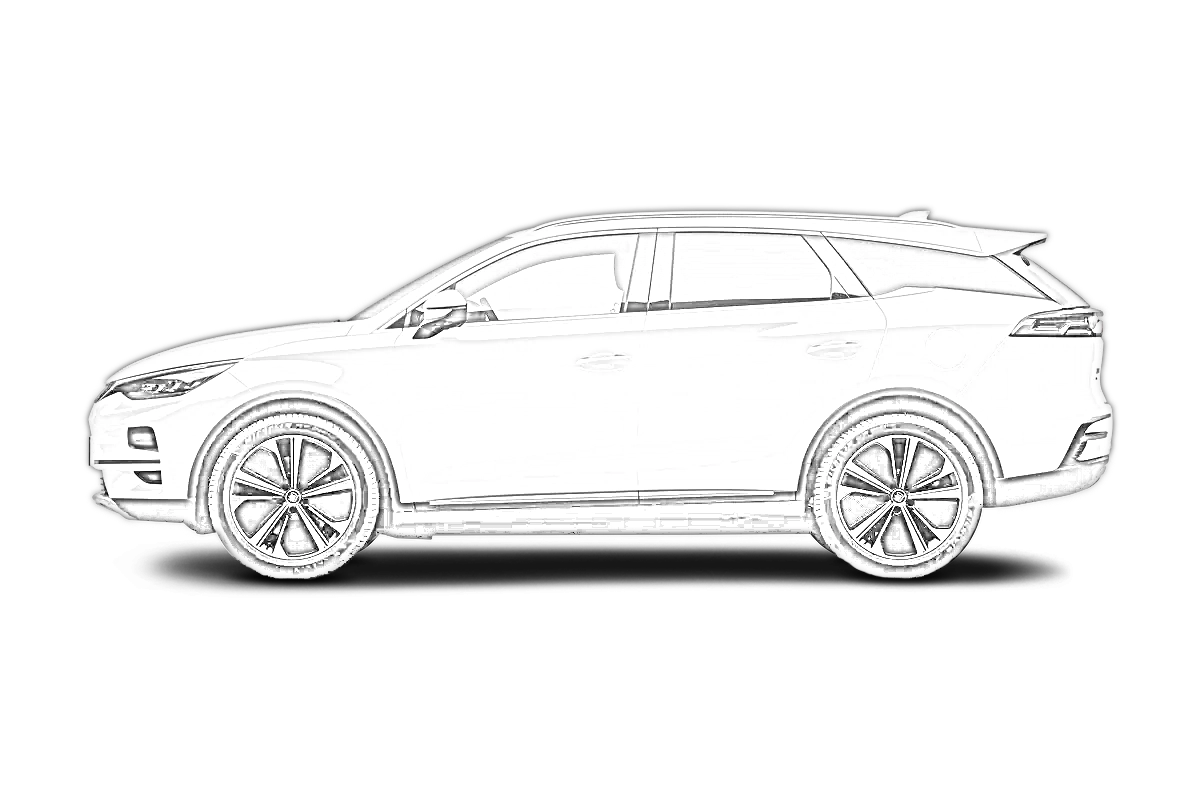 Tang EV