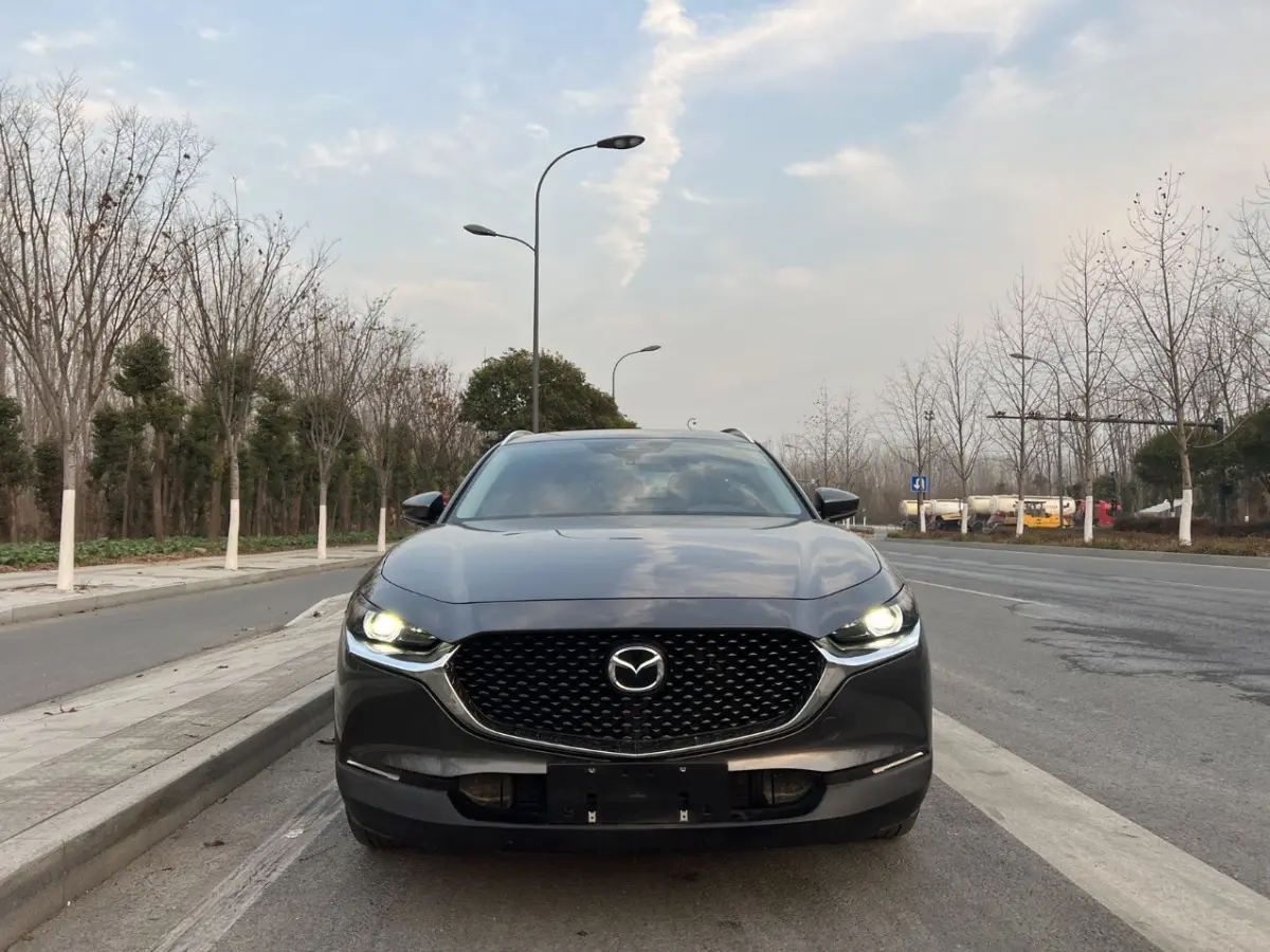 CX-30